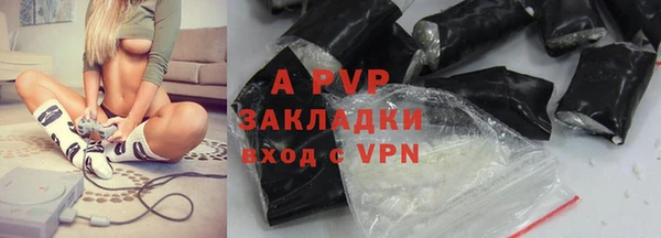 стаф Богданович