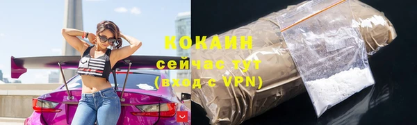 стаф Богданович
