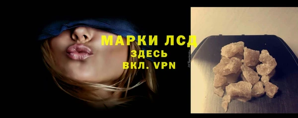стаф Богданович