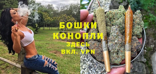 стаф Богданович