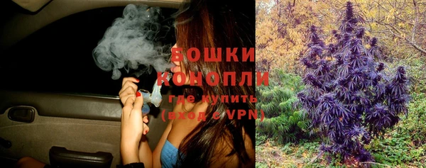 стаф Богданович