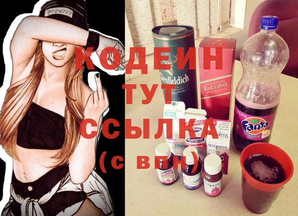 стаф Богданович