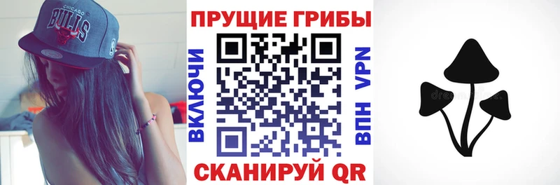 Псилоцибиновые грибы мицелий  Мичуринск 